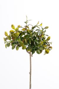 Lingonris kvist - Grønn - 20 cm - www.frokenfraken.se
