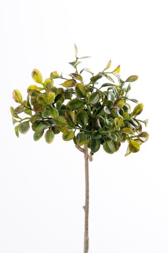Lingonris kvist - Grønn - 20 cm - www.frokenfraken.se