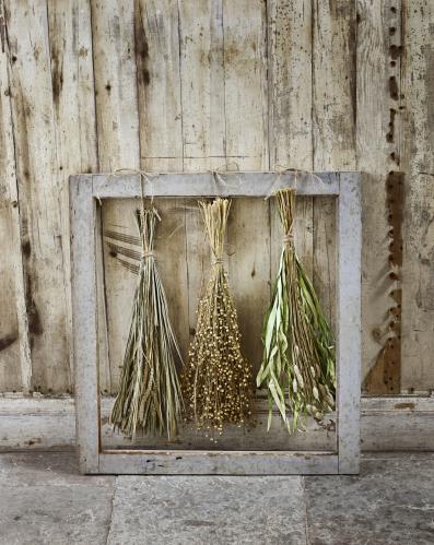 Tørket bukett - Kanarigras - 55 cm - www.frokenfraken.se