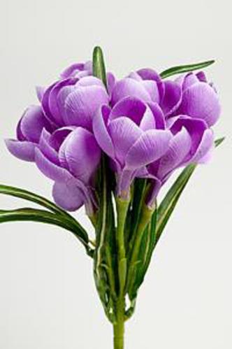 Crocus - Lilla - 25 cm - www.frokenfraken.se