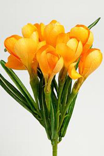 Crocus - Gul - 25 cm - www.frokenfraken.se